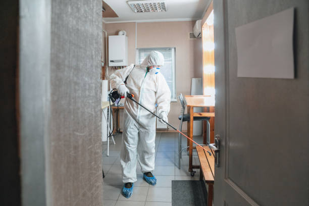 Best Basement Mold Removal  in Mishicot, WI